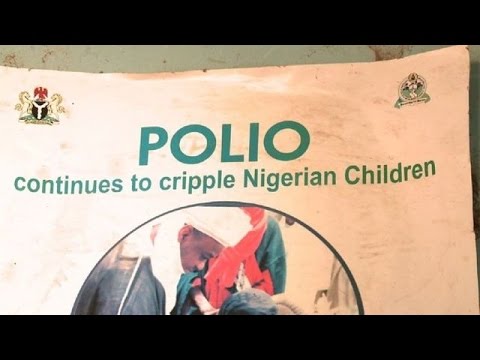 شاهد نيجيريا تحتفل بمرور عام خالٍ من شلل الأطفال
