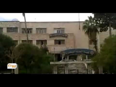 شاهد انتشار وباء فيروسي في قطاع الدواجن في حماة