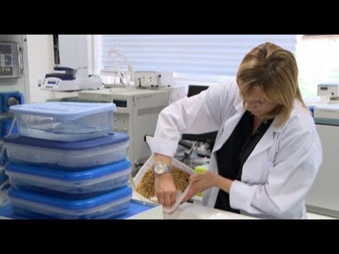 شاهد حساسية الطعام والقلق الدائم ومشاكل أخرى