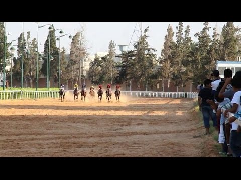 شاهد سباقات الخيول تجتذب جمهورًا عريضًا في ليبيا