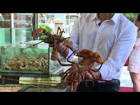 شاهد أصناف بحرية مهددة بالانقراض تتصدر قوائم المطاعم في هونغ كونغ