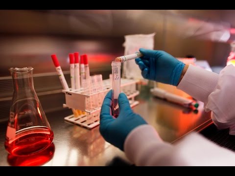 شاهدالتوصل إلى سبب صعوبة علاج عدوى مرتبطة بالتليف الكيسي