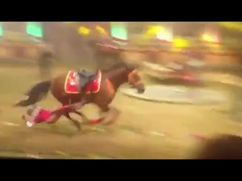 حصان هائج يتسبب في وفاة لاعبة سيرك