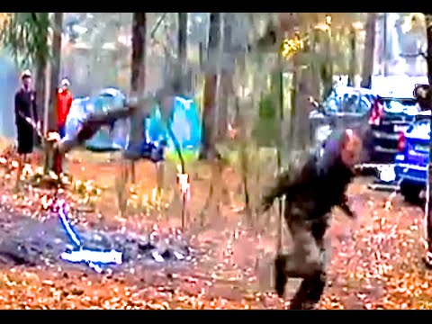 بالفيديو شجرة تسقط على رجل شارك في قطعها
