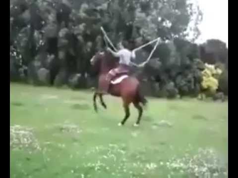 فيديو يوضح مهارة الفارس في ركوب الحصان