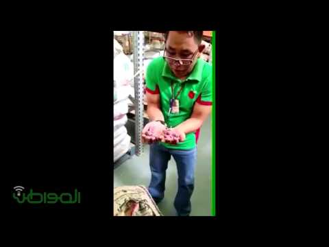 شاهد فئران داخل أكياس الرز المُعَدّة للبيع في بندة