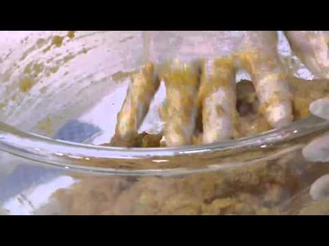 طريقة عمل الناجيتس