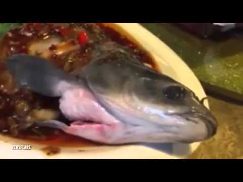 سمكة نصفها حى والآخر مقلى تتحرك من شدة الألم