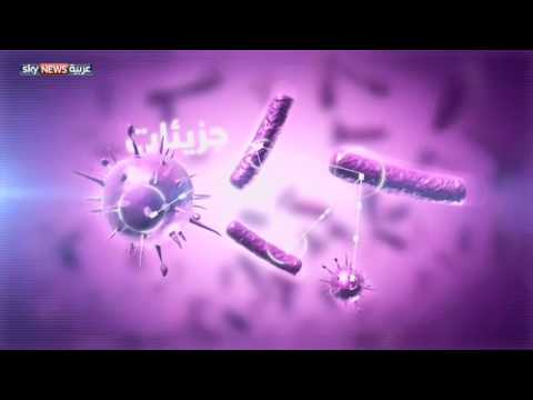 بالفيديو البكتيريا تتواصل فيما بينها