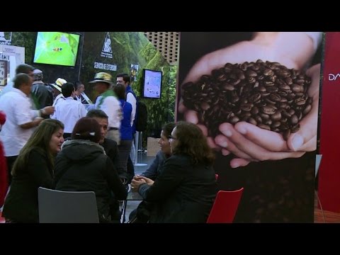 شاهد استهلاك القهوة في العالم تضاعف خلال الأعوام العشرين الماضية