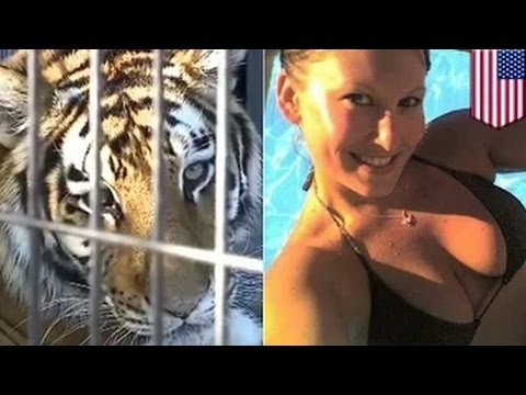 شاهد امرأة ثملة تكاد أن تخسر يدها لدى محاولتها مداعبة نمر