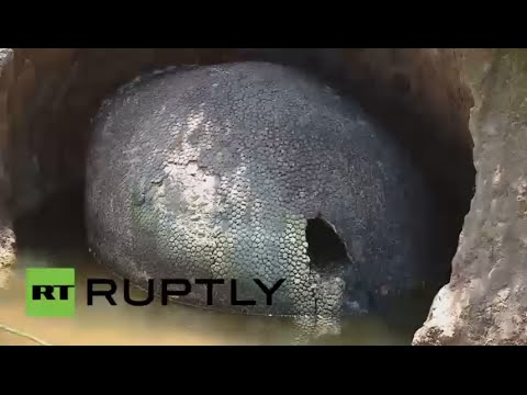 شاهد اكتشاف قطعة متحجرة لحيوان المدرع