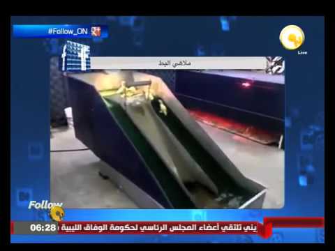 انشاء أول ملاهي خاصة بالبط