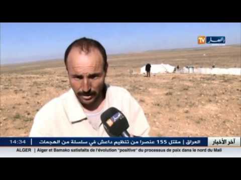 نقص الآبار يهدد مواشي الموالين بالهلاك