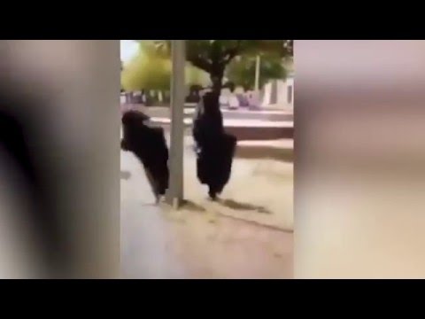 فيديو لقطات صادمة لإمرأة منتقبة