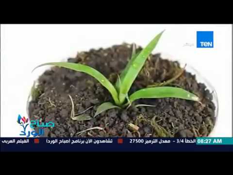 أفضل الإبتكارات المنزلية بإستخدام زجاجات المياة الفارغة