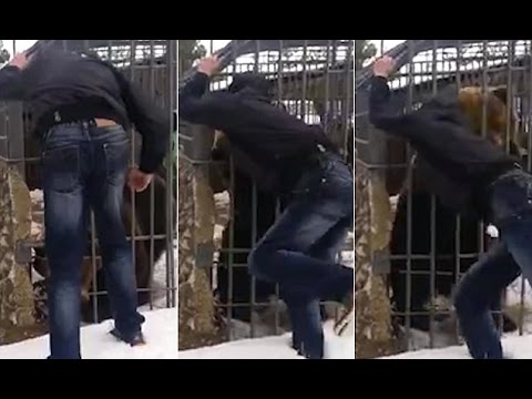 دب يأكل ذراع شاب روسي أراد اللعب معه