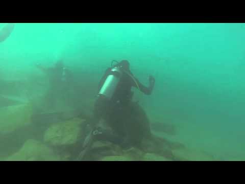 شاهد أسماك القرش تثير الرعب في إسرائيل