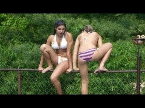 فيديو قطط تقوم بحركات مضحكة جدًا