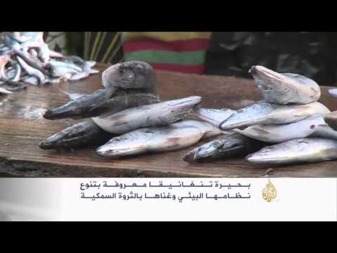 تعرف على بحيرة تنجانيقا في بوروندي