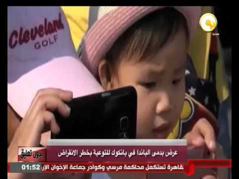 عرض بدمى الباندا في بانكوك للتوعية بخطر الإنقراض