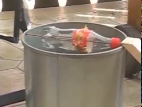 أذكى طريقة لاصطياد الفئران