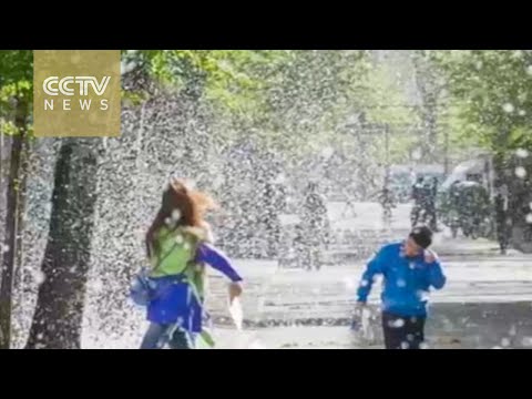 catkins season in full swing in beijing