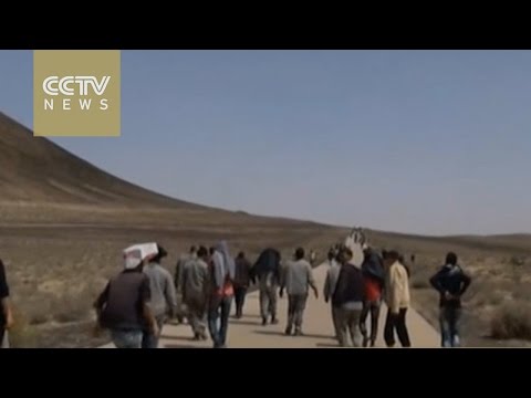 isil releases abducted workers