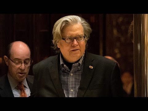 trump selects bannon as chief strategist