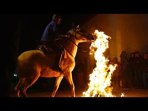 horses gallop through bonfires