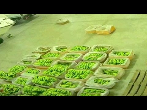 bust major cocaine smuggling ring