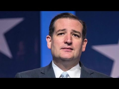talk ted cruzs rise in the polls and donald trump