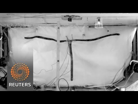 made from multiple layers of fabrics and composites