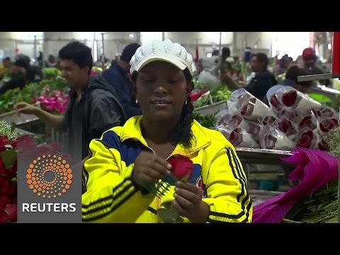 colombias flower industry ready