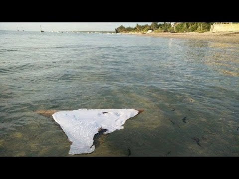 families express skepticism