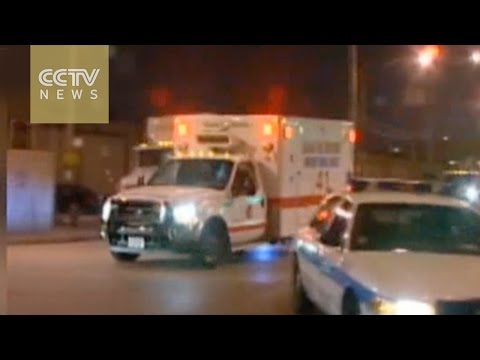 china issues report against “china issues” report