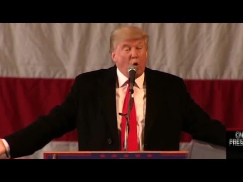 trump leads polls in new york