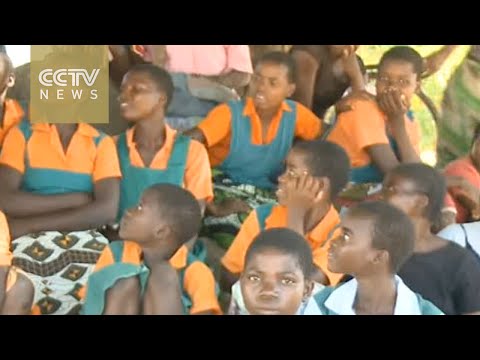 malawi chief spearheads fight