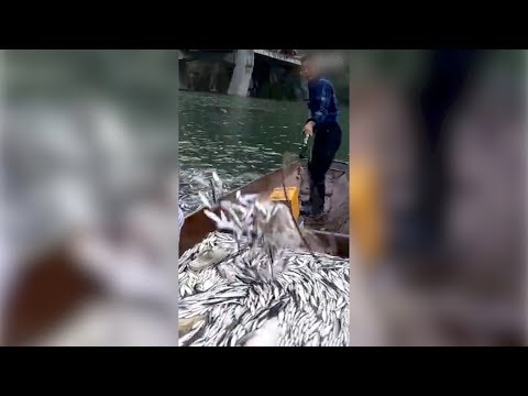 horrifying footage crazy electrofishing