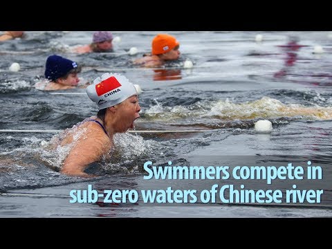 swimmers compete in subzero waters