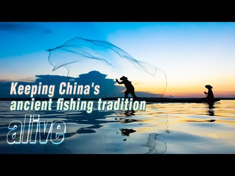 keeping chinas ancient fishing tradition alive