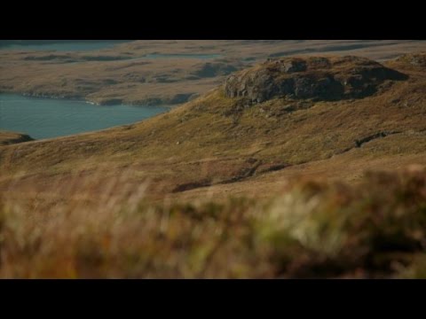 stalking animal in the scottish highlands