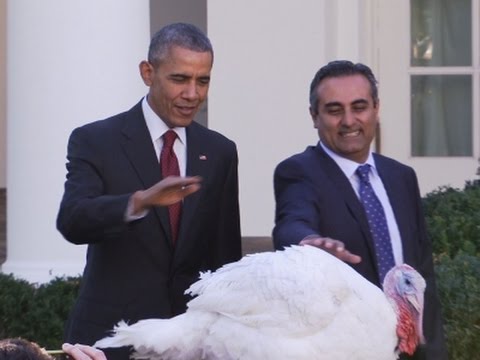 rose garden pardon timely