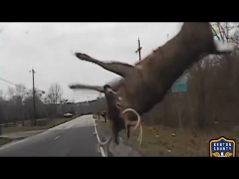 dashcam shows officers close call