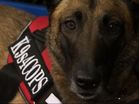 during a raid connected to the paris terror attacks