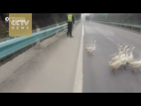 we’ve heard of traffic and sometimes people
