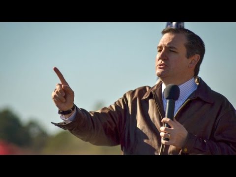 will ted cruzs momentum