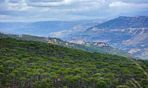 بلدة بكاسين اللبنانية تفوز كواحدة من أفضل القرى السياحية في العالم من قبل منظمة السياحة العالمية