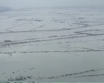 ارتفاع ضحايا الفيضانات والانهيارات الأرضية في نيوزيلندا إلى 4 قتلى