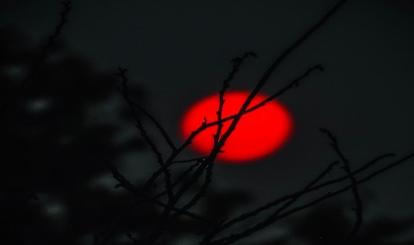  العرب اليوم - تفسير رؤيا القمر في منام الرجل والمرأة